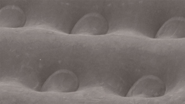 Матрас надувной Flock Excellent Double Outwell