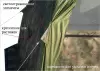 Палатка ЛОТОС 5 Универсал Хаки