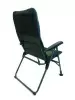 Кресло раскладное President Fish BD620-10050-6 8747 000