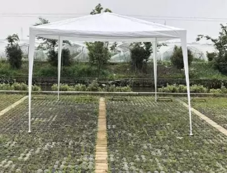 Шатер садовый CoolWalk 3030 3х3м без стенок