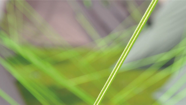 Палатка Outwell Phoenix 4